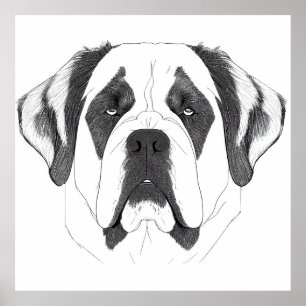 St. Bernard Dog Wild Nature Animal Illustration Poster