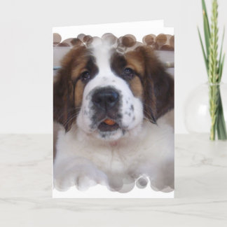 St Bernard Grußkarte Karte