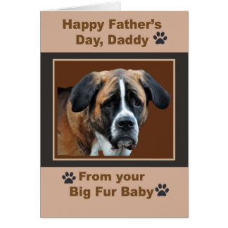 St. Bernard Happy Vatertag Papa von Fur Baby