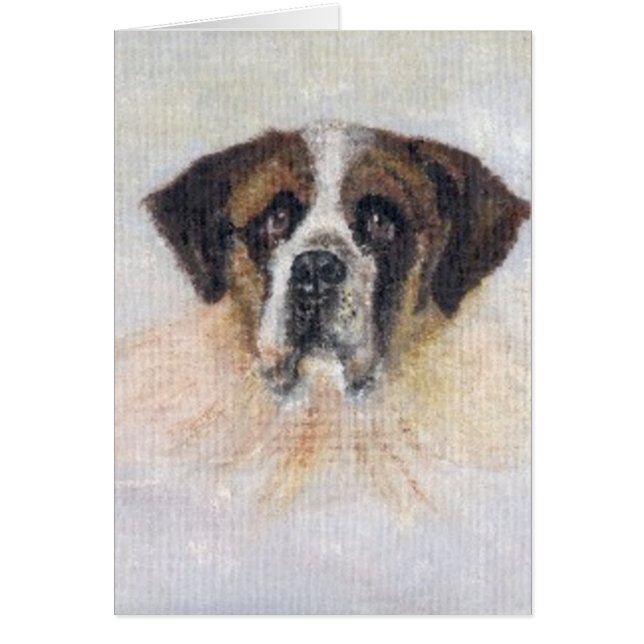 St Bernard Lucy (Vorne)