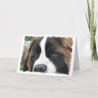 St Bernard Puppies Grußkarte Karte