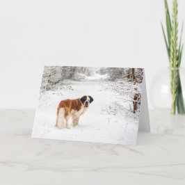 St. Bernard Schnee fotografische Weihnachtsgrüße Feiertagskarte