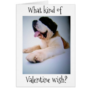 ST. BERNARD SENDET "HUGE" VALENTINE WISHER
