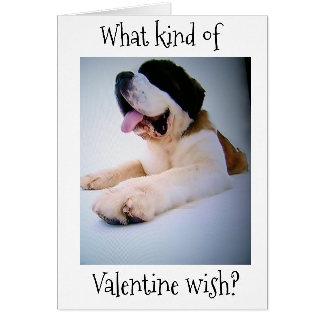 ST. BERNARD SENDET "HUGE" VALENTINE WISHES (Vorne)