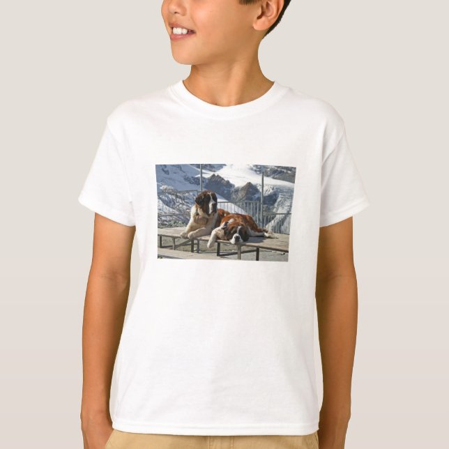 st bernard T-Stück T-Shirt (Vorderseite)