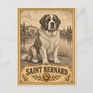 St. Bernhard, Vintage Heritage Hund Postkarte