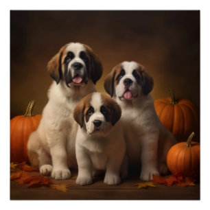 St. Bernhard Welpe Herbstfreude Kürbis Poster