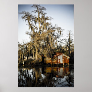St Charles Parish Swamp Reflections Poster