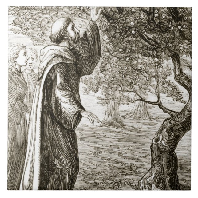 St. Columba ändert bittere Frucht in Bonbon, von Fliese (Vorderseite)