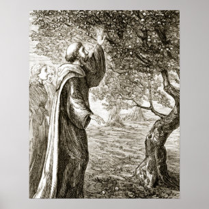 St. Columba verwandelt bittere Früchte in süße, vo Poster