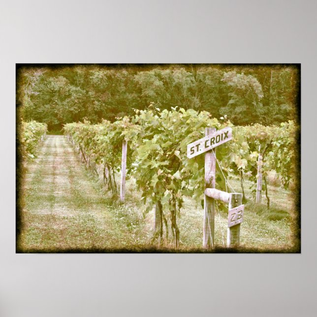 St. Croix Poster (Vorne)
