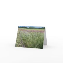 St. Croix Savannah SNA - Prairie