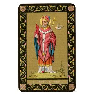 St. David von Wales (P 001) Magnet