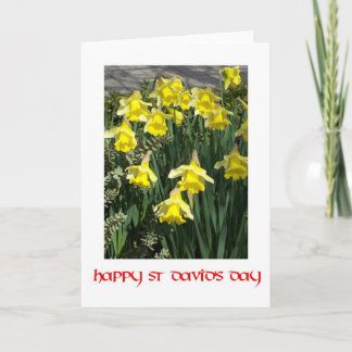 St David's Day Daffodils Grußkarte Karte