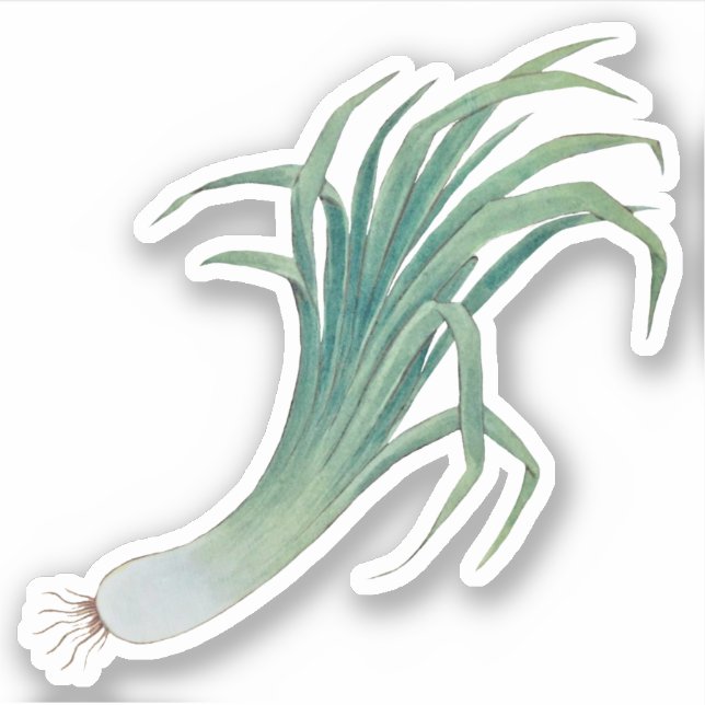 St. David's Day Leek Contour Sticker (fL) (Vorderseite)