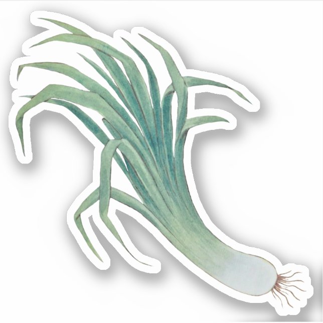 St. David's Day Leek Contour Sticker (fR) (Vorderseite)