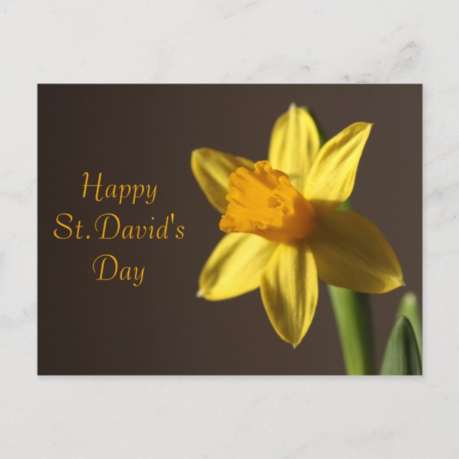 St.David's Day Postcard Postkarte (Vorderseite)