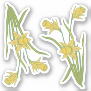 St. David's oder St. Piran's Day Daffodils (fL) - Aufkleber