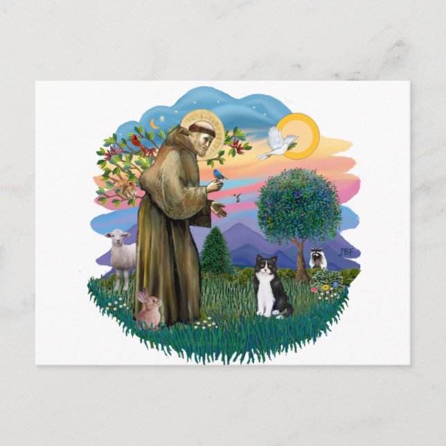 St. Francis (ff) - Schwarz-Weiß-Katze Postkarte (Vorderseite)