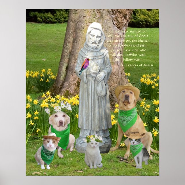 St. Francis-Quotation Poster (Vorne)