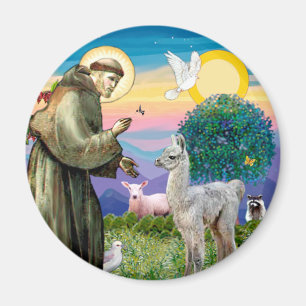 St Francis und Llama Baby Magnet