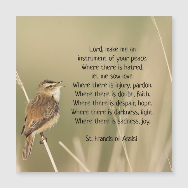 St. Francis von Assisi Gebet Bird Inspiration Magnetkarte (Vorderseite)