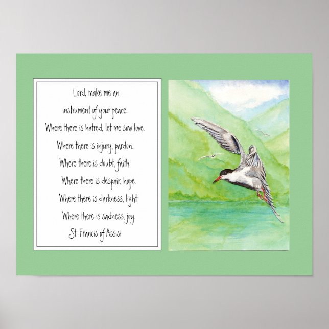 St. Francis von Assisi Gebet Common Tern Bird Poster (Vorne)
