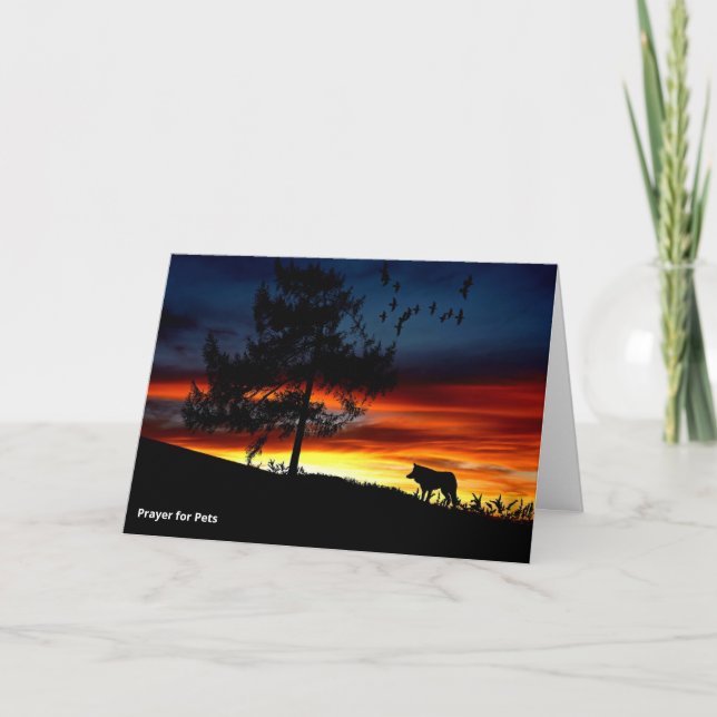 St. Francis von Assisi Gebet für Haustiere - Hund Karte (Vorderseite)