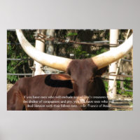 St. Francis von Assisi Zitat über Tierrechte