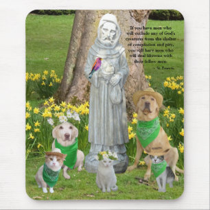 St- Franciszitat Mousepad