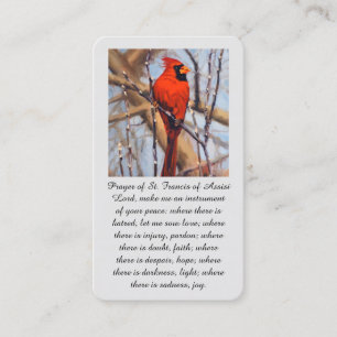 St. Franz von Assisi Roter Kardinalvogel Visitenkarte