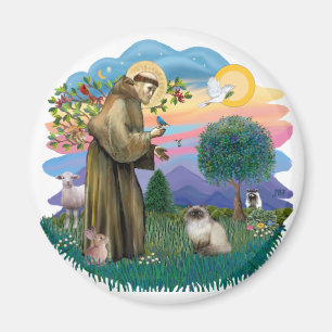 St. Franziskus (ff) - Seal Point Himalayan-Katze Magnet