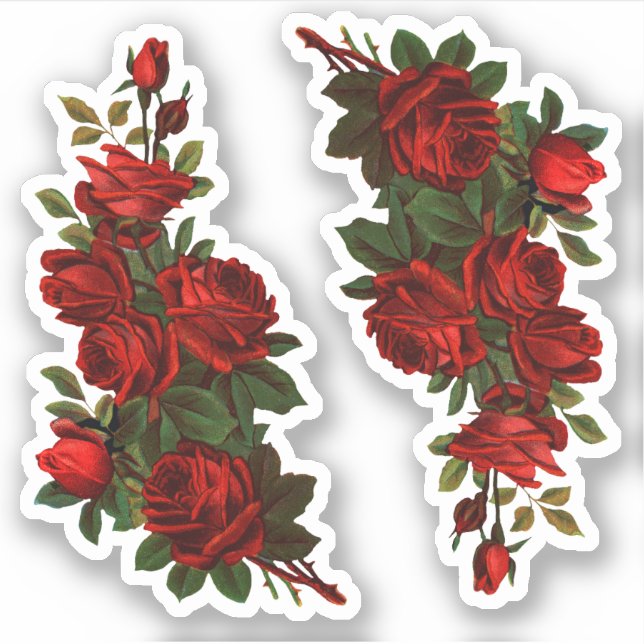 St. George's Day Rose (fR) Aufkleber (Vorderseite)