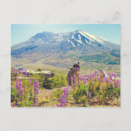 St. Helens Postkarte