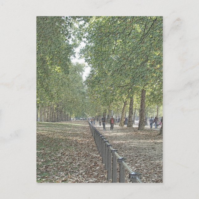 St Jame's Park Postkarte (Vorderseite)