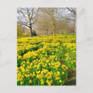 St James's Park London UK Postcard Postkarte