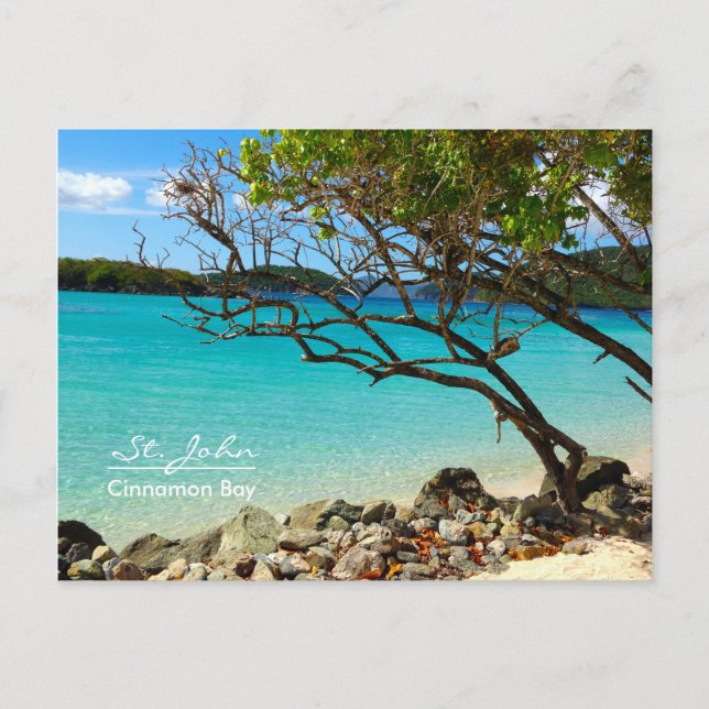 St John USVI Cinnamon Bay Beach Postcard Postkarte (Vorderseite)