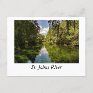 St. Johns River Postkarte