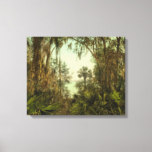 St- Johnsfluss-FloridaFoto 1898 Leinwanddruck