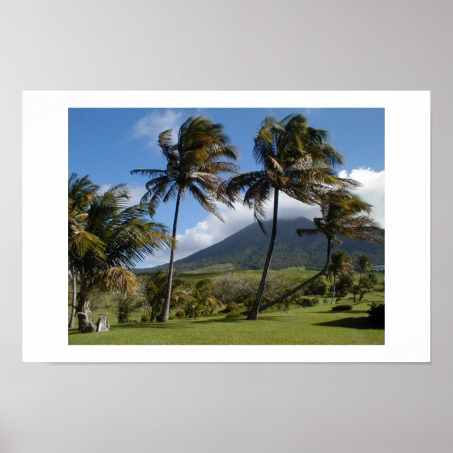 St. Kitts Plantation Poster (Vorne)