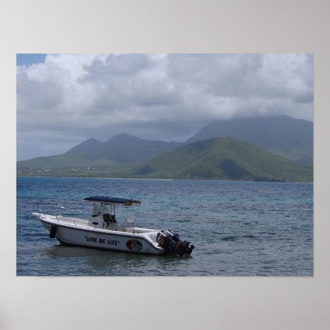 St Kitts, Schildkrötenstrand Poster (Vorne)