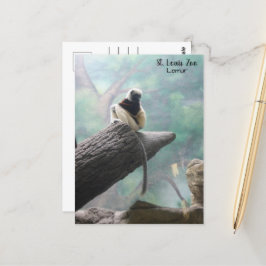 St. Louis Zoo Lemur Postcard Postkarte