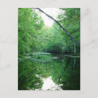 St. Marks River Postkarte