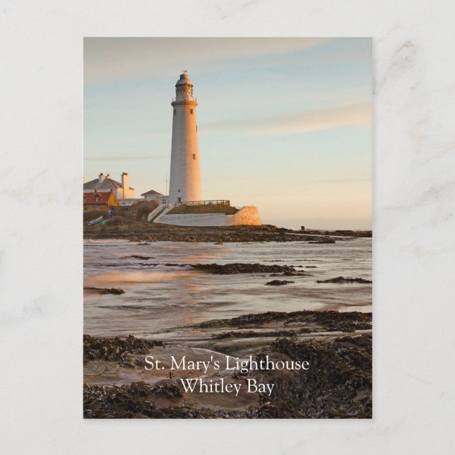 St Mary's Lighthouse England Postkarte (Vorderseite)