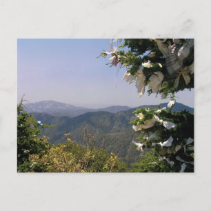 St. Mary's throne Troodos Mountains Zypern Postkar Postkarte