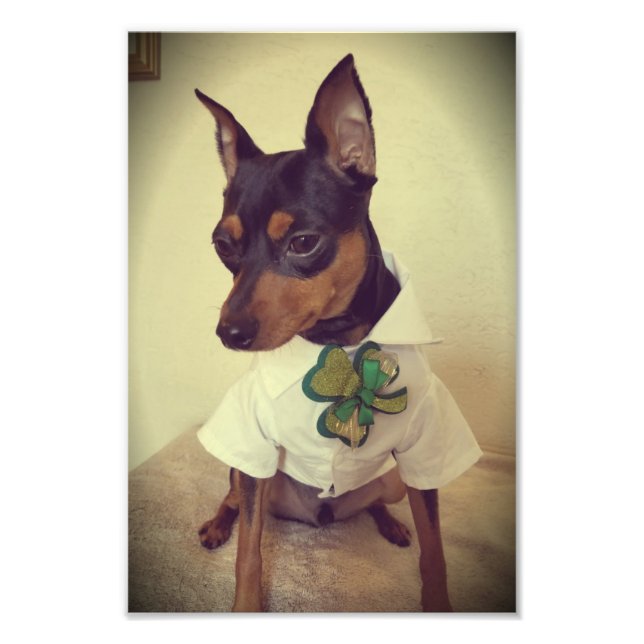 St. Min Button Fotodruck (Vorne)