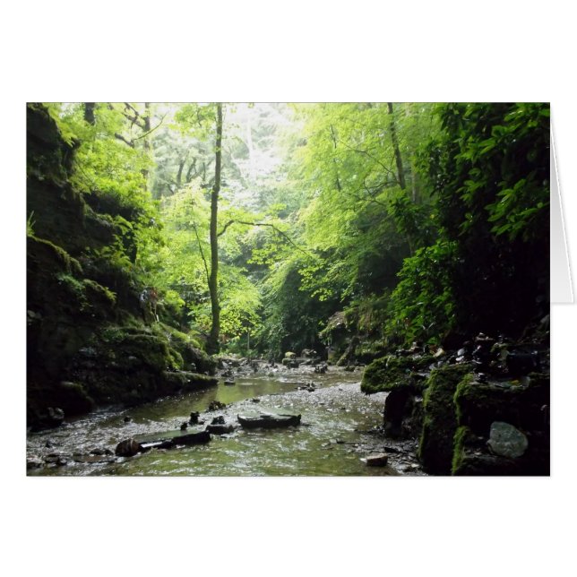 St Nectan's Glen Cornwall Fotograf (Vorderseite (Horizontal))