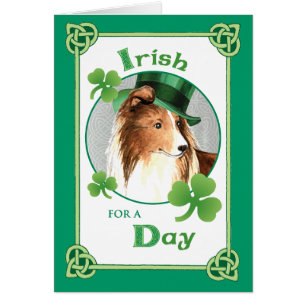 St. Patrick-Day Sheltie