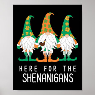 St Patrick Gnome Irish Day Shenanigan Leprechaun S Poster