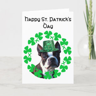 St Patrick Grußkarte Tagesbostons Terrier Karte